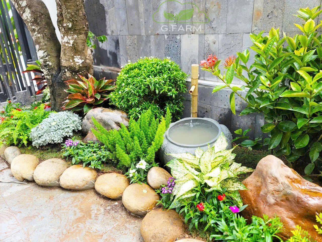 Vườn tiểu cảnh đẹp anh Tuân Ocean Park 3